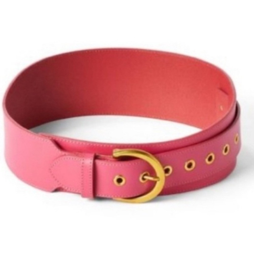 Sergio Hudson for Target Pink Wide Waist Belt Gold Buckle XS/S TWF22-0029 NEW